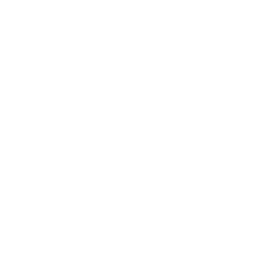 assets management icon